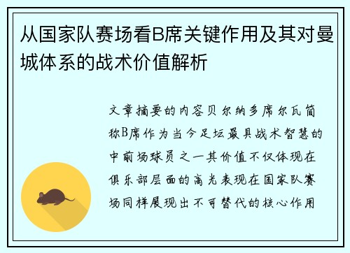 从国家队赛场看B席关键作用及其对曼城体系的战术价值解析 从国家队赛场看B席关键作用及其对曼城体系的战术价值解析